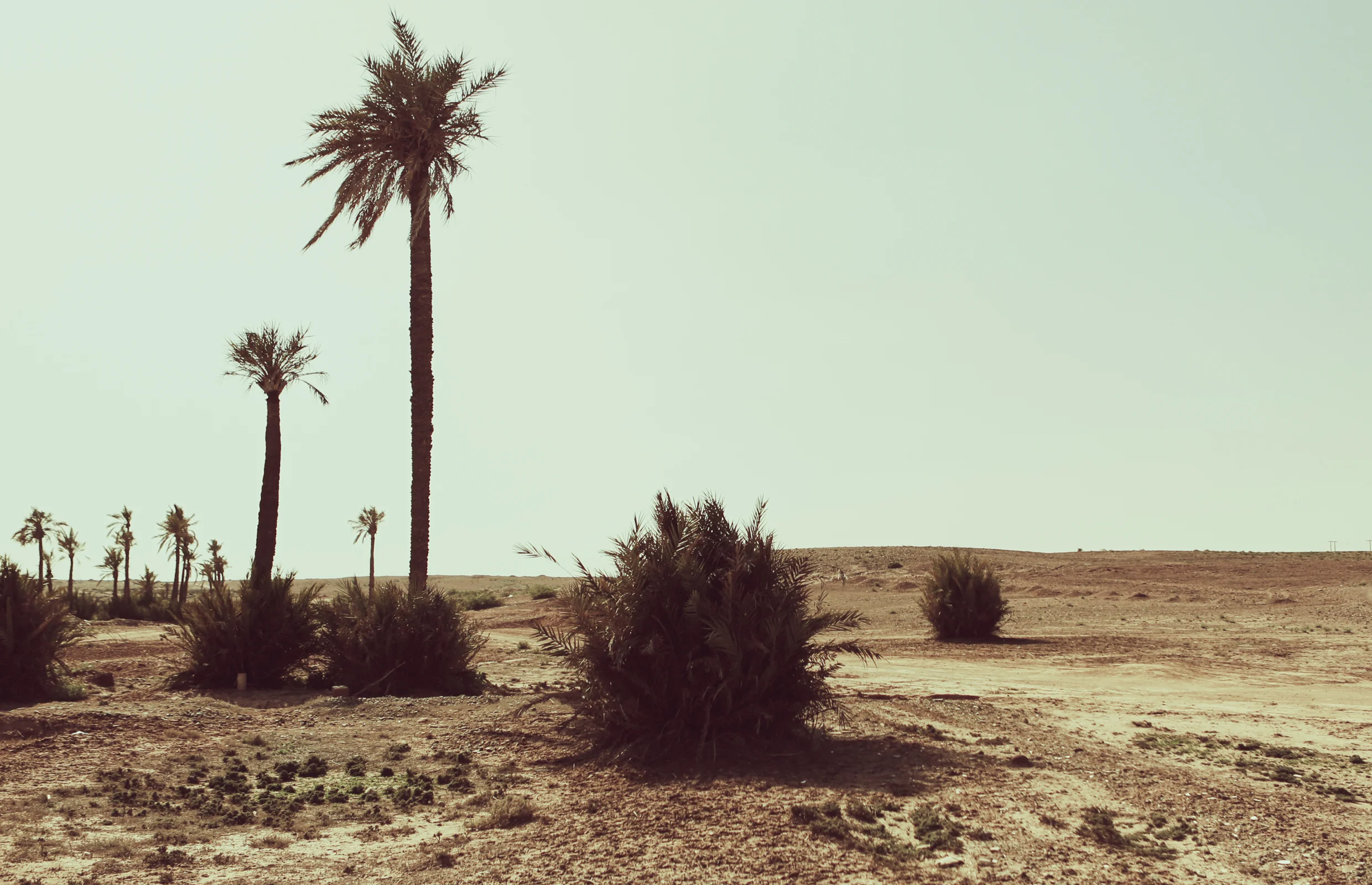 blank_communication_as98_ss17_2480x1600_16.jpg