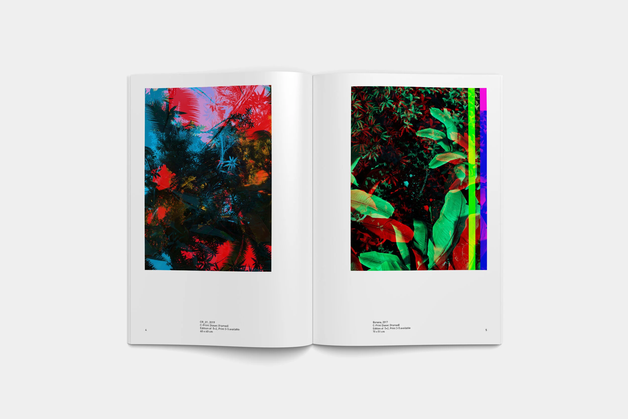 blank-art-booklet-raphael-brunk-1.jpg
