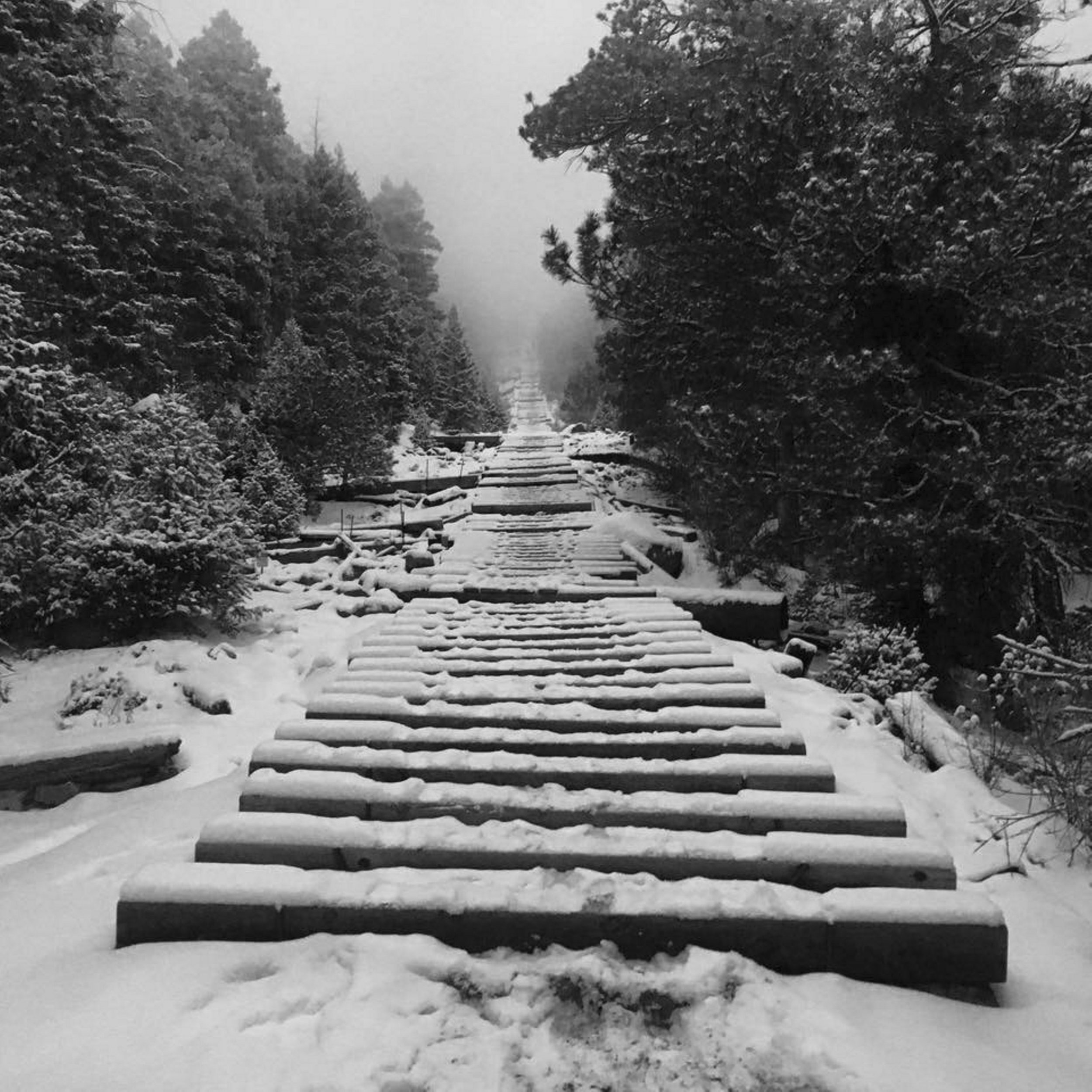 Incline_gray.jpg