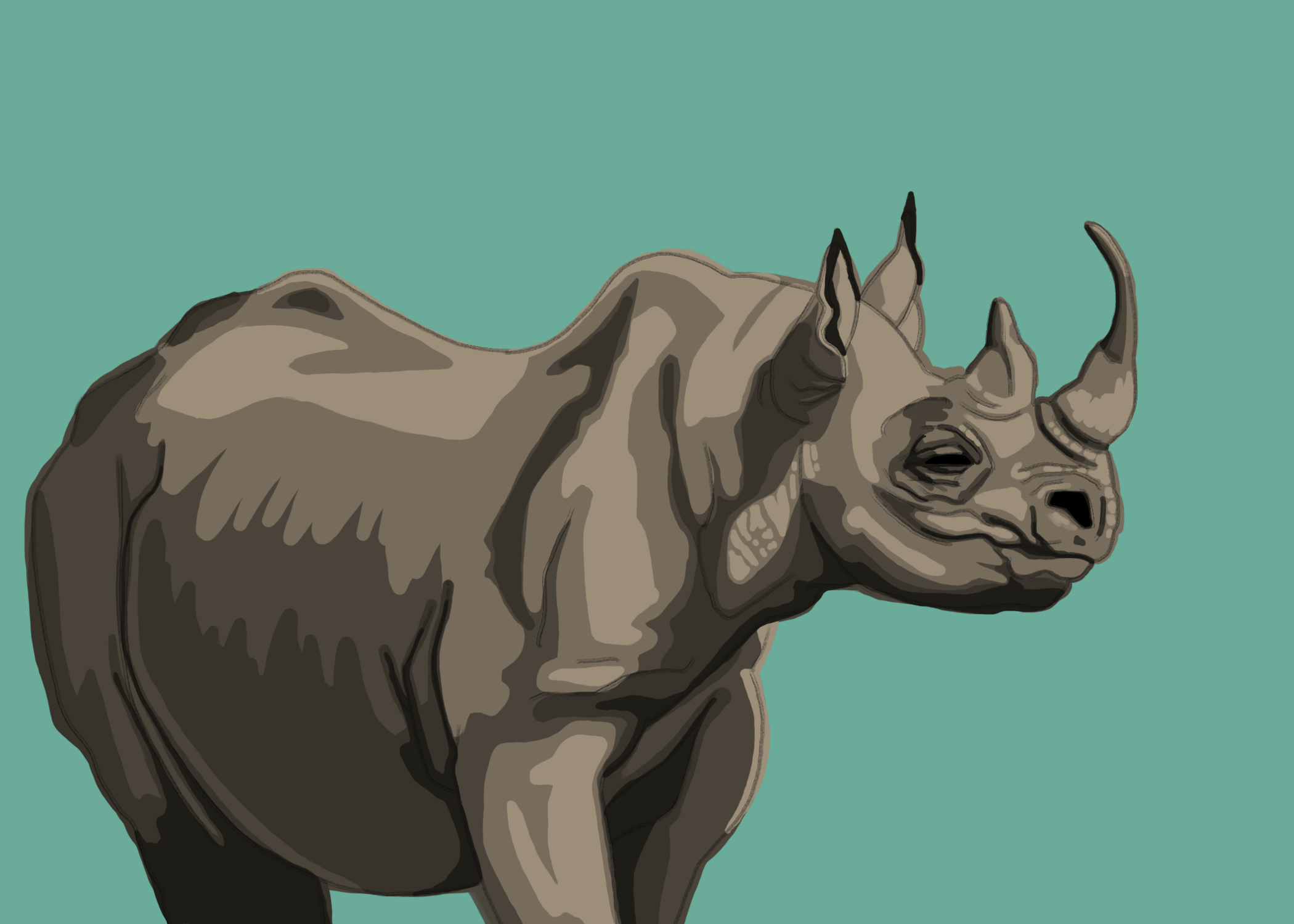 Black Rhino