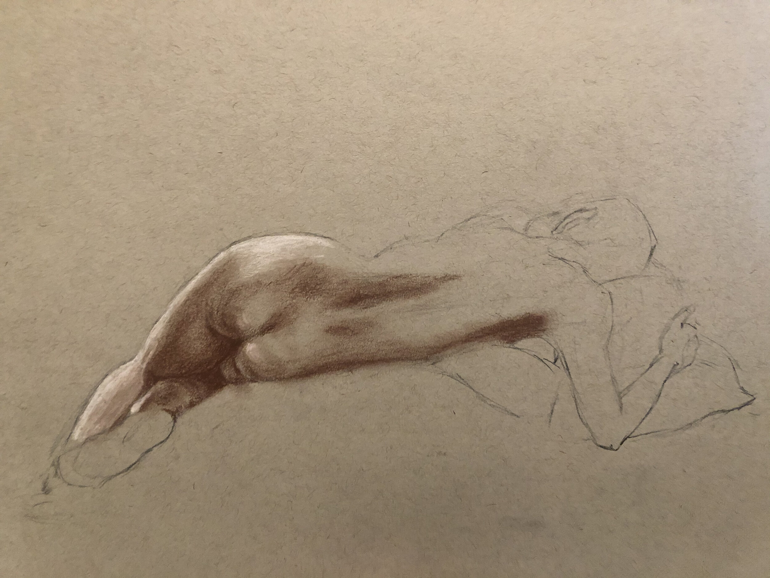  Sepia &amp; Charcoal on Paper  2019 
