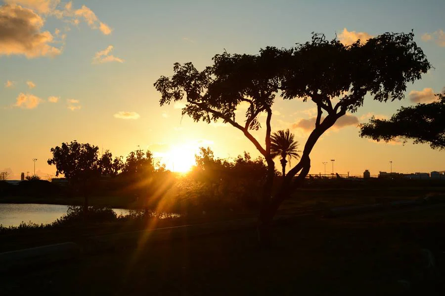 Silhoette Sunset 