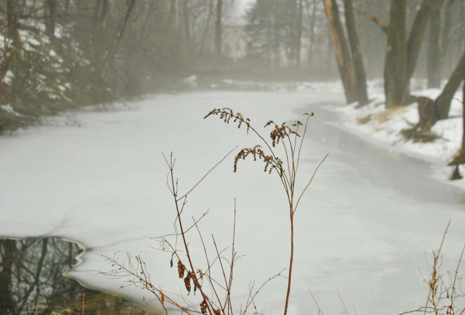 After the Snow