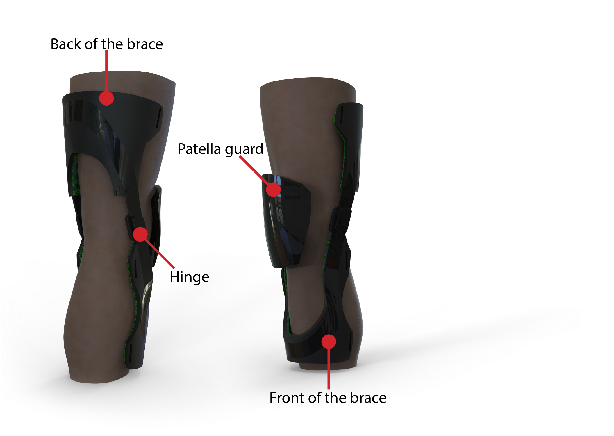 BracePictoralFLIP.png
