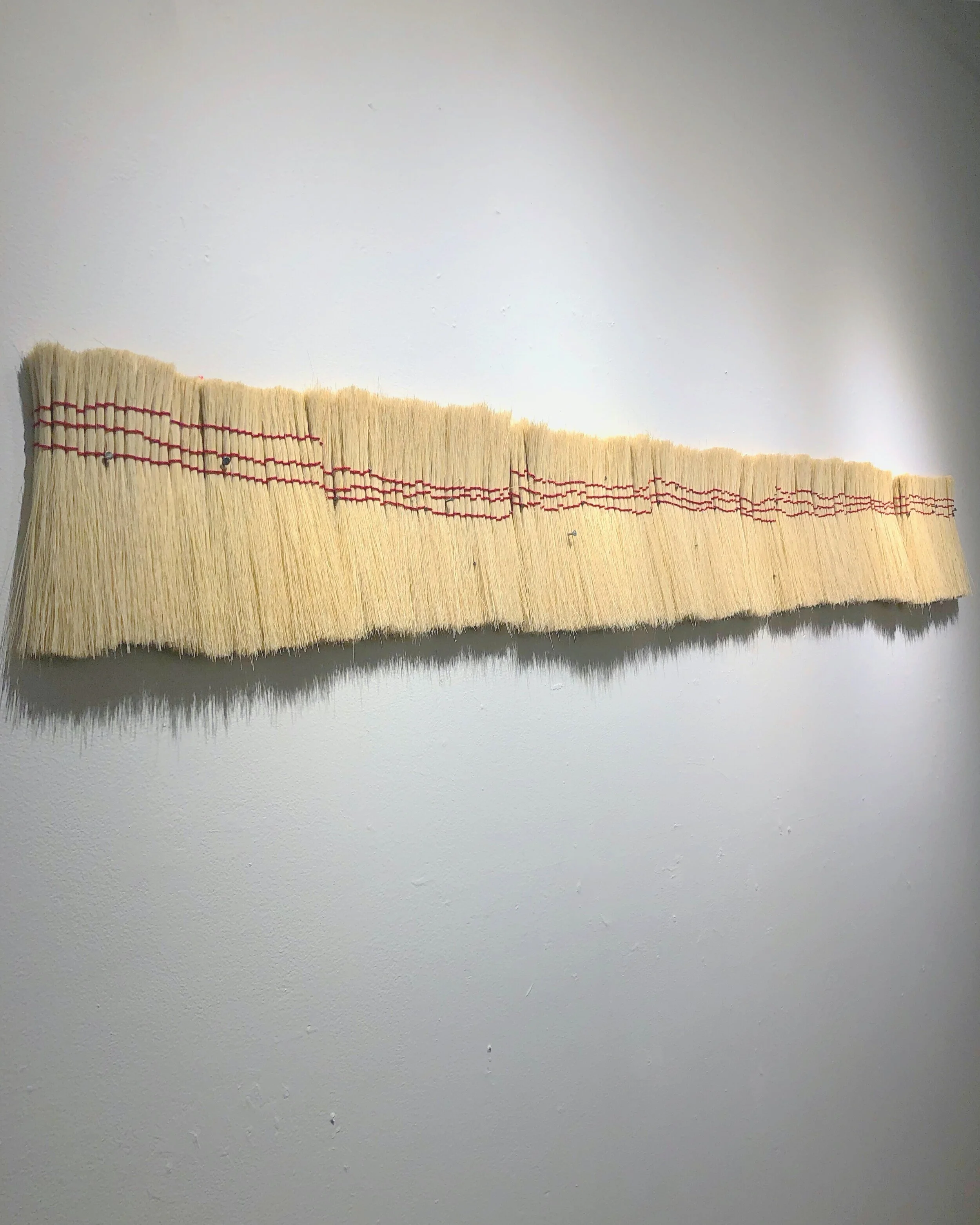 Afluentes . Natural broom fiber and thread. 7’w. 2019.