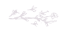 living-apothecary-brand-icon_soft-lavender-divider.png