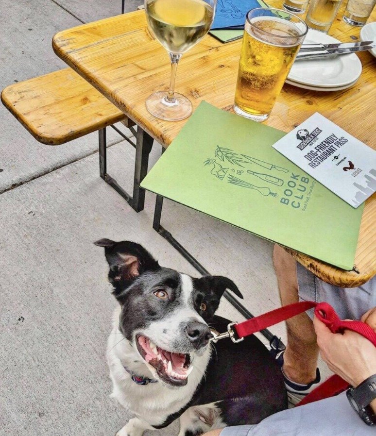 Dog Friendly Patio 