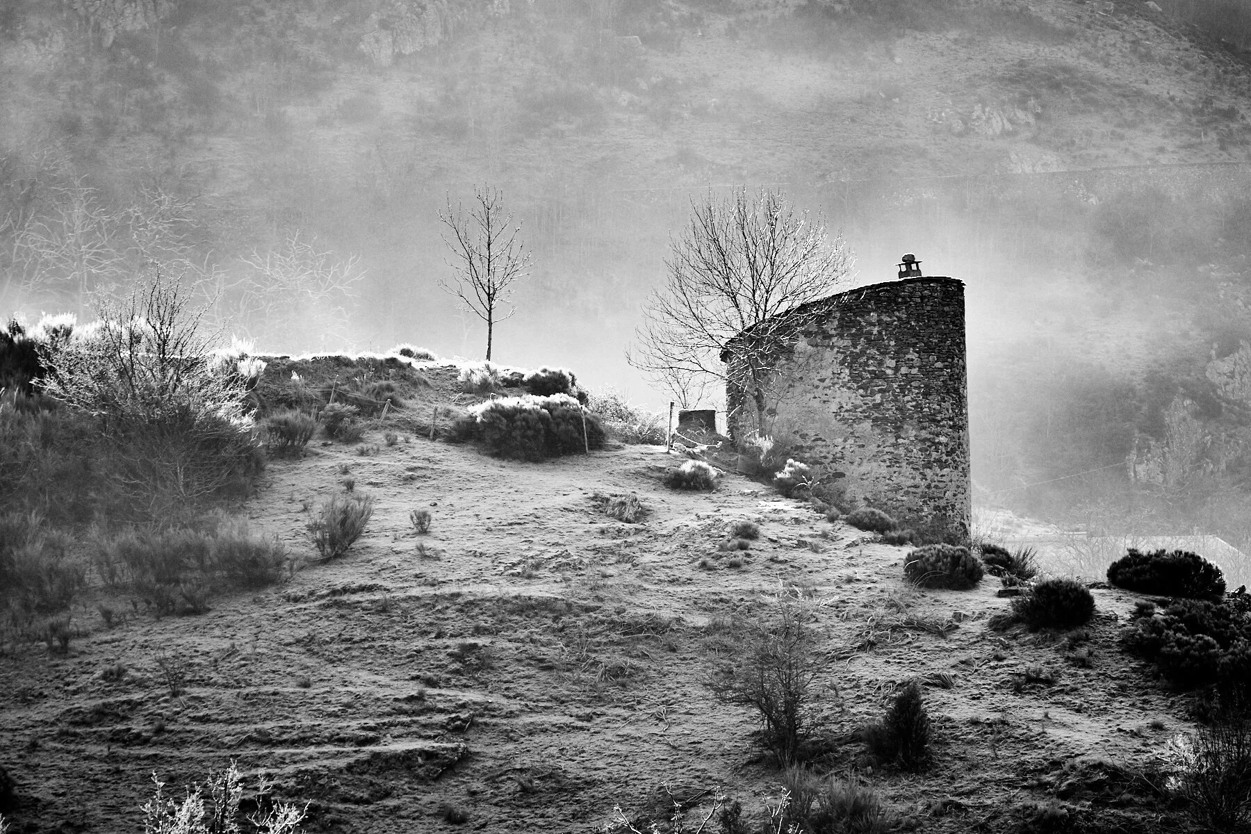 Rousses_Givré_0099 1.jpg