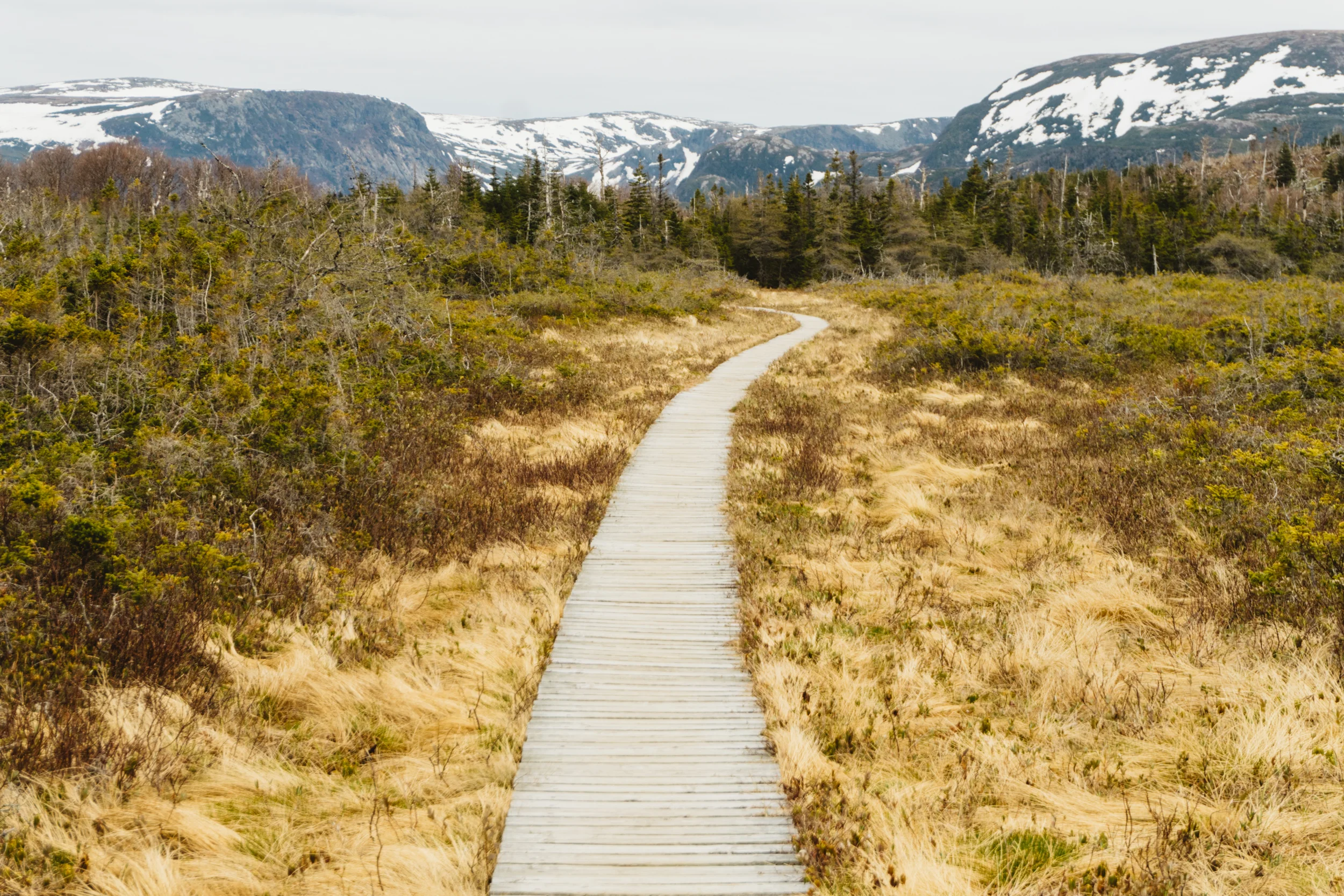24 Hours In Gros Morne