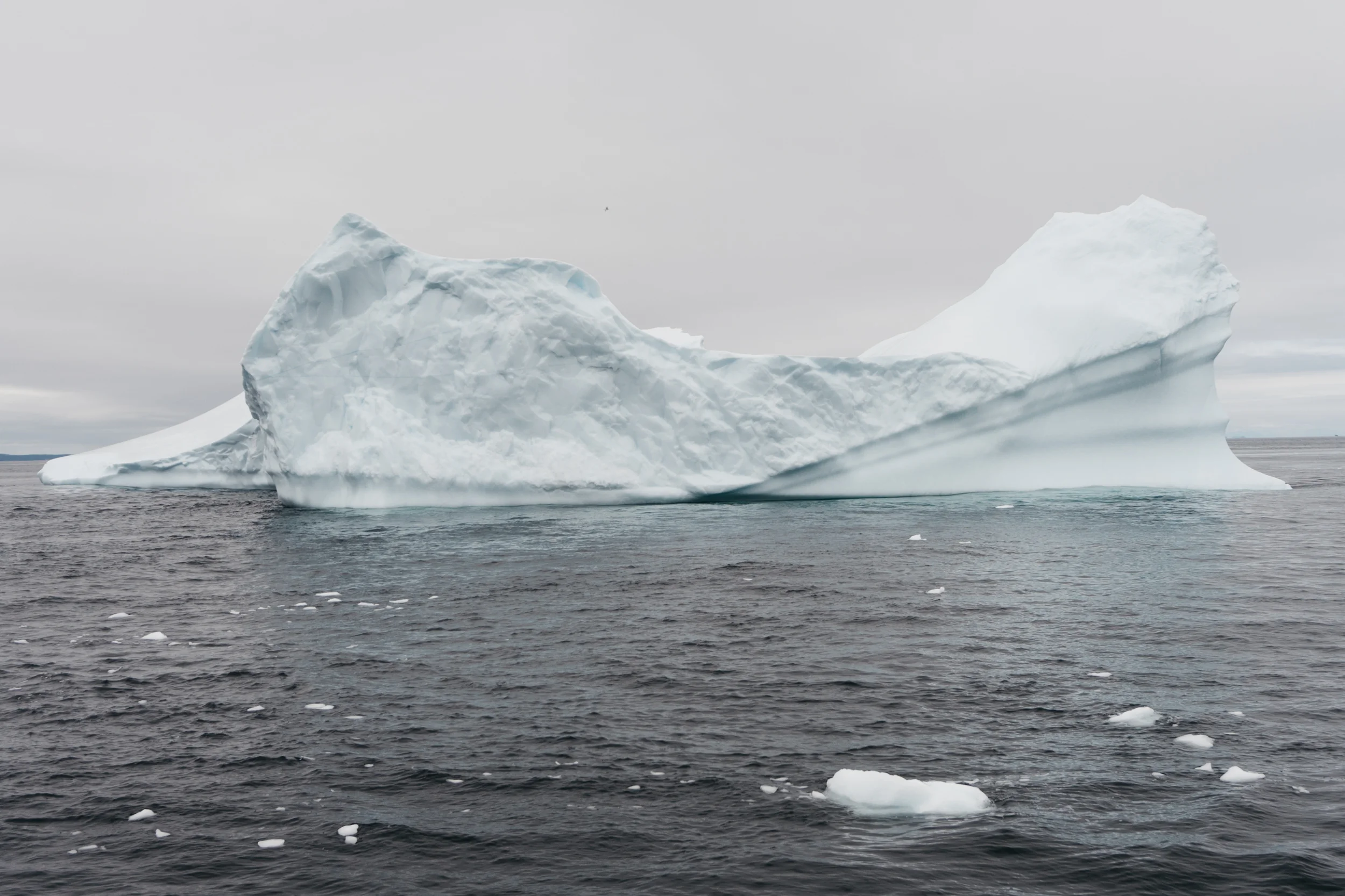 BonavistaPost-13.jpg