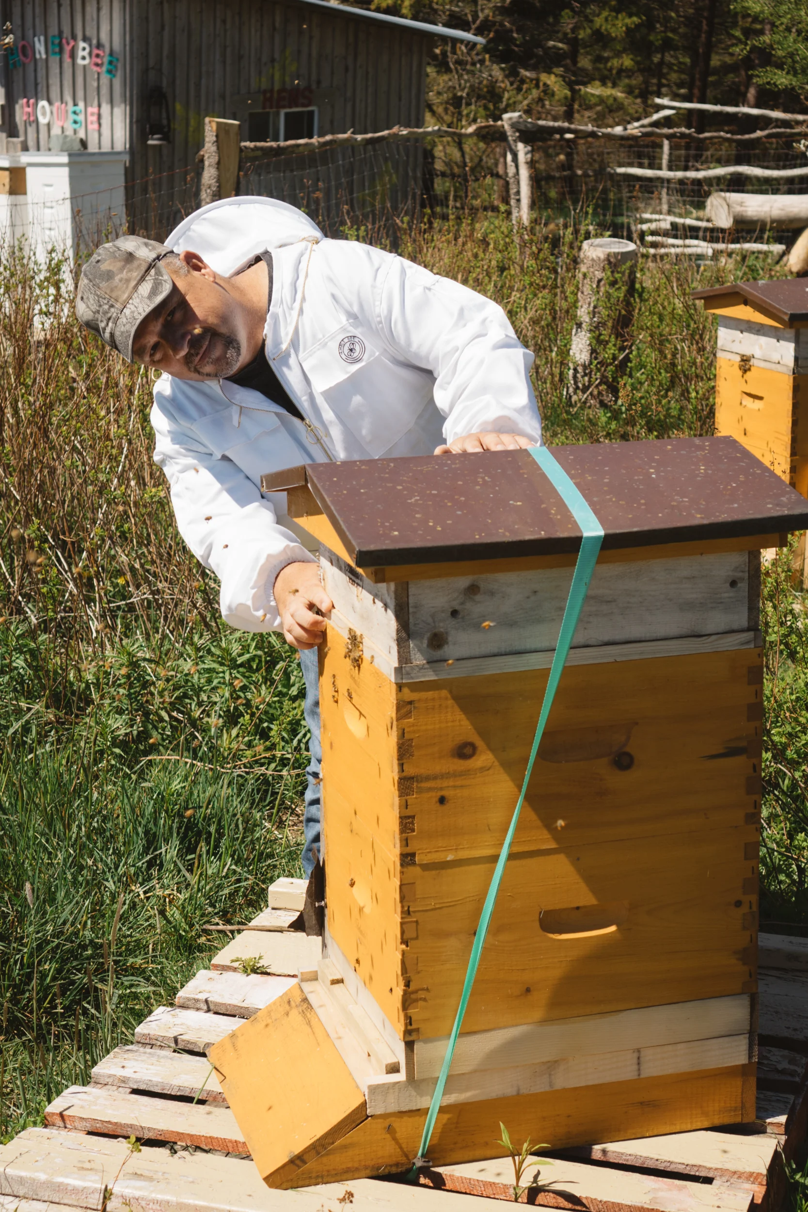 Paul_Bees (7 of 49).jpg