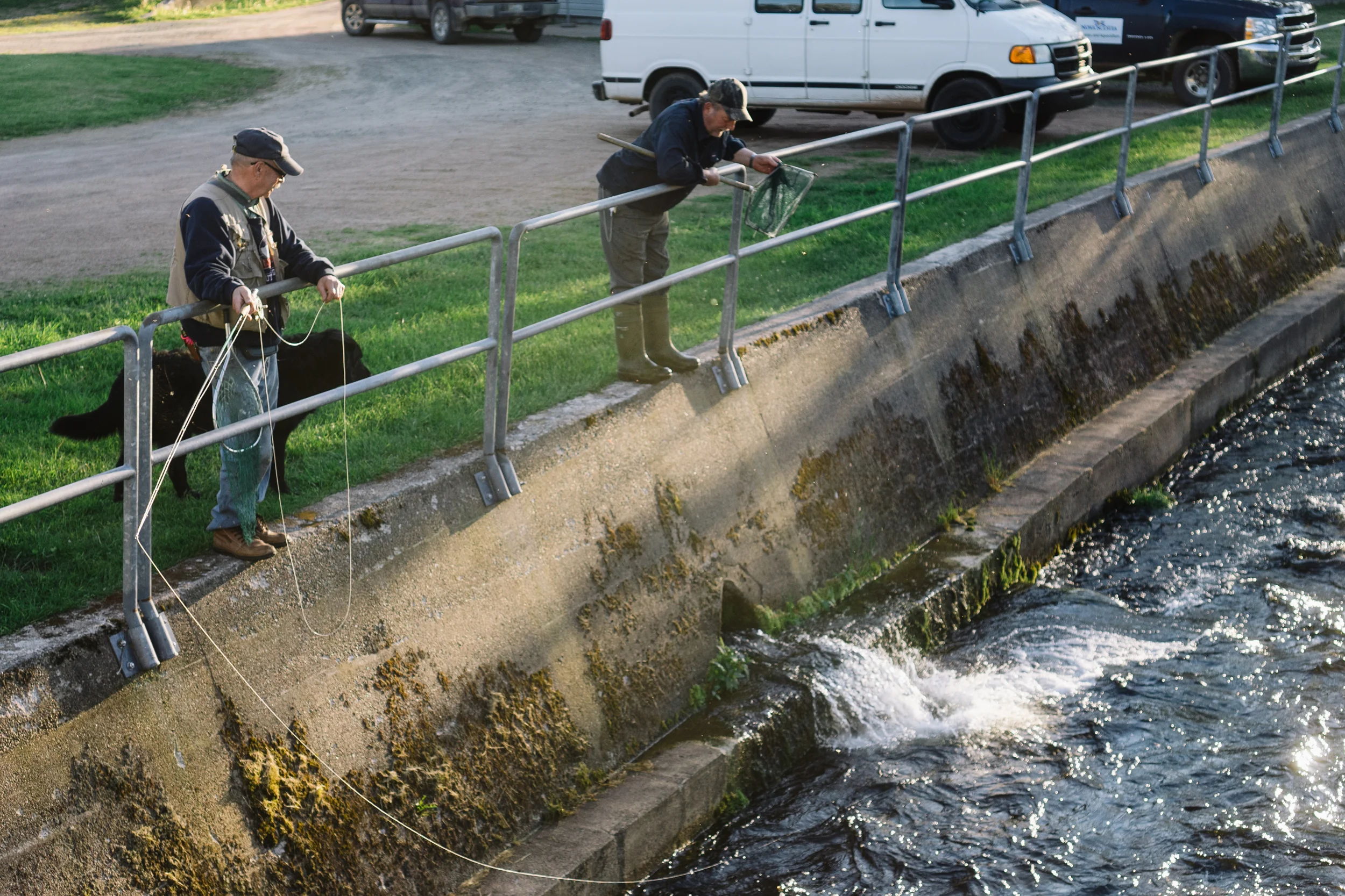 MargareeHatchery-42.jpg