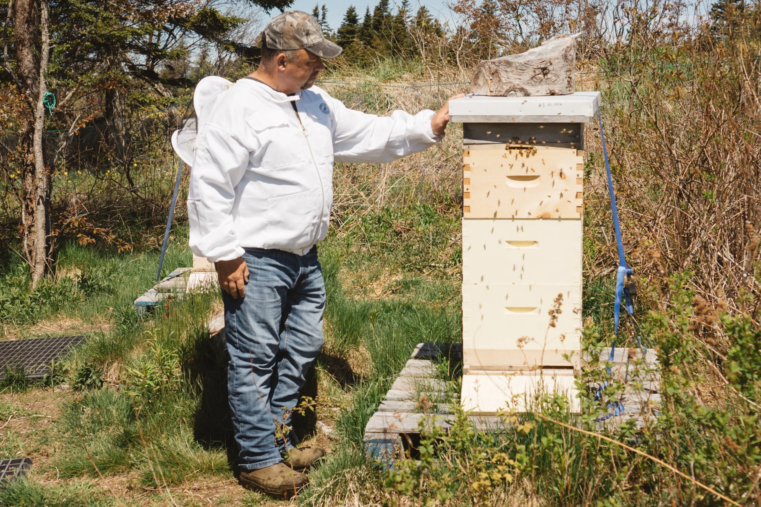 Paul of Adelaide Honey Bee, Pollinator and Wildflower Reserve in Newfoundland