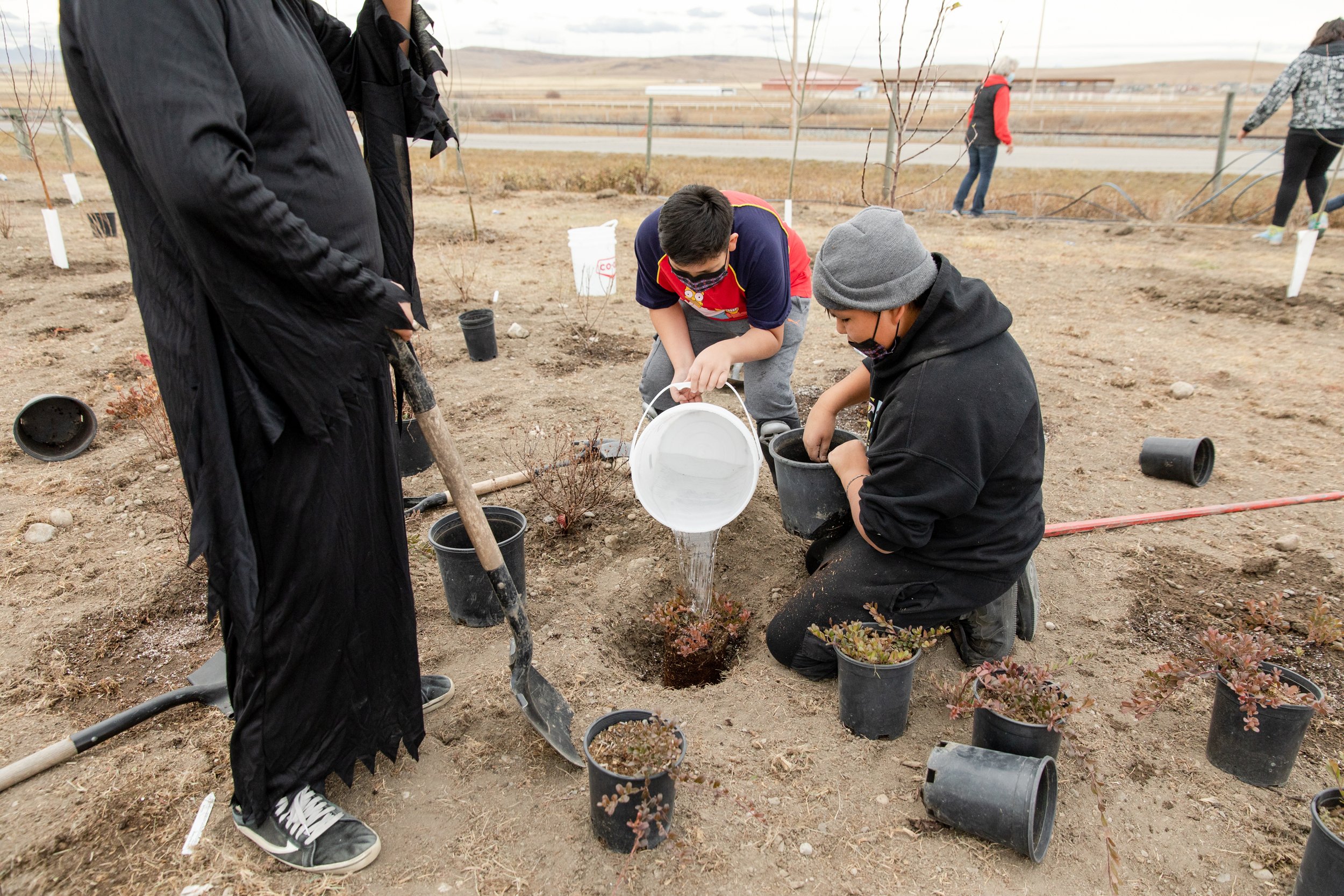  Students help plant trees on the Piikani Nation Secondary School grounds. 