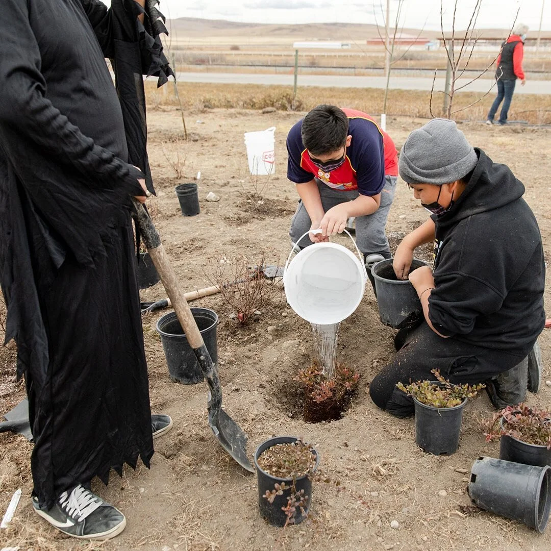 New profile! For this one we worked with @resilienceinstitutecanada to explore how they work with vulnerable populations to develop community-led directives.

For this profile we had the honor of being invited to visit Piikani Nation and look at a fe