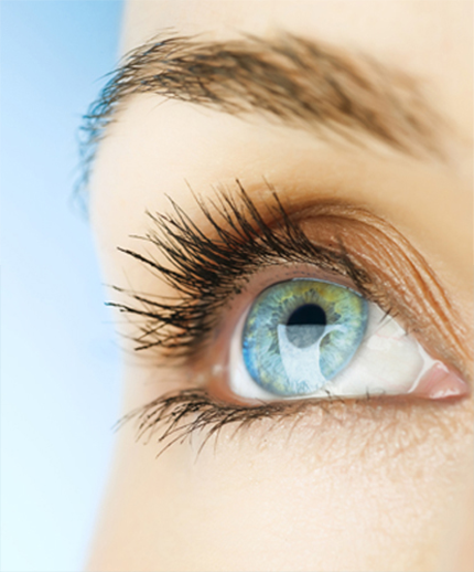 Visique CapitalEyes offers a variety of contact lens options