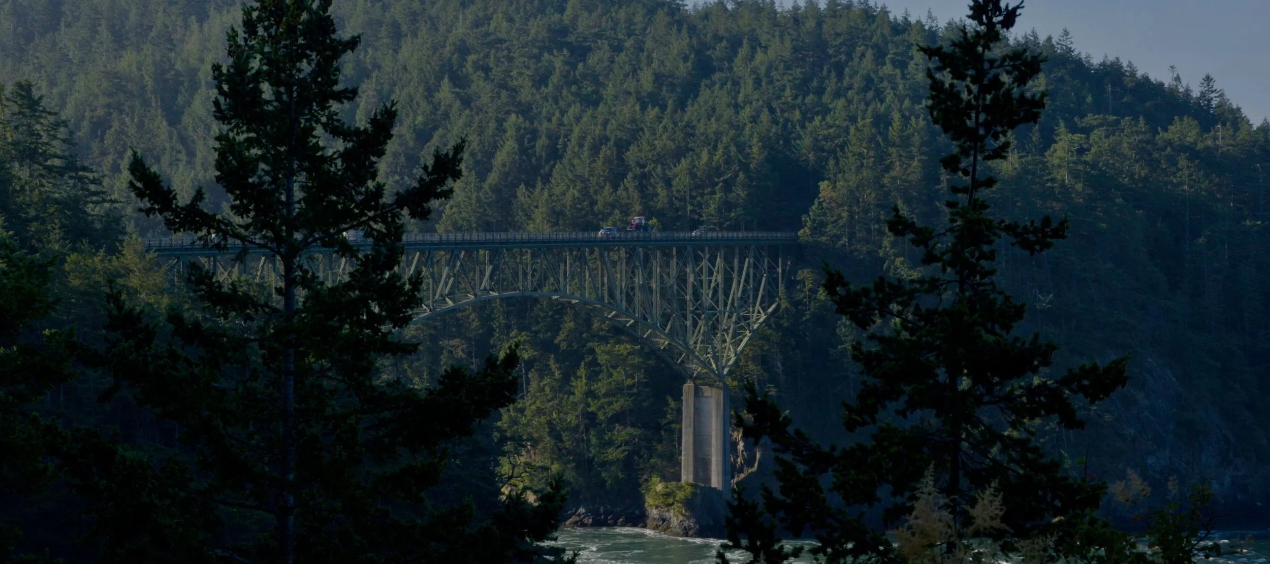 Screen Shot 2018-07-14 at 11.01.46 PM.jpg