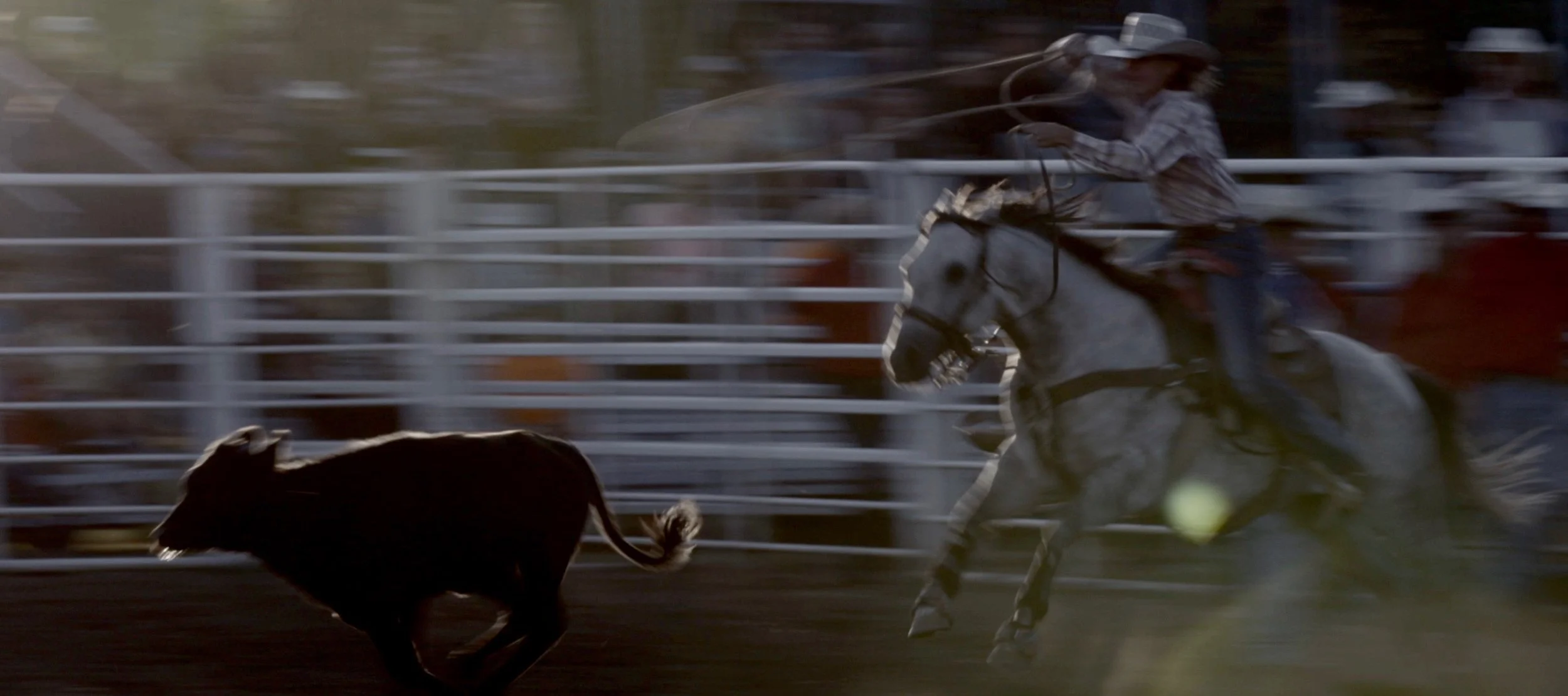 Screen Shot 2018-07-20 at 11.52.08 PM.jpg