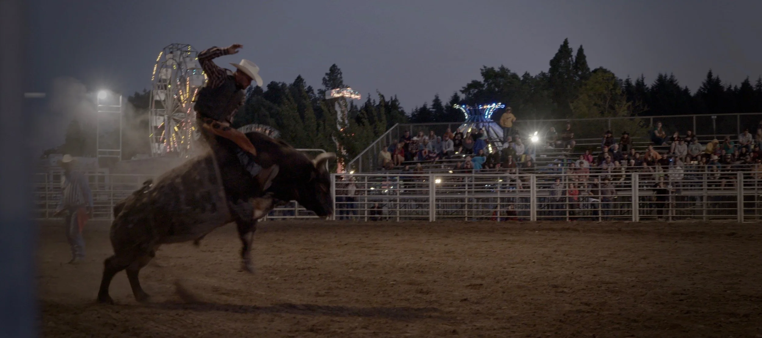 Screen Shot 2018-07-21 at 12.30.42 AM.jpg