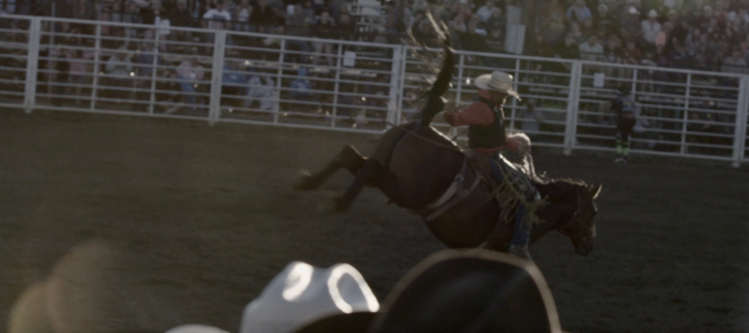 Screen Shot 2018-07-20 at 11.57.03 PM.jpg