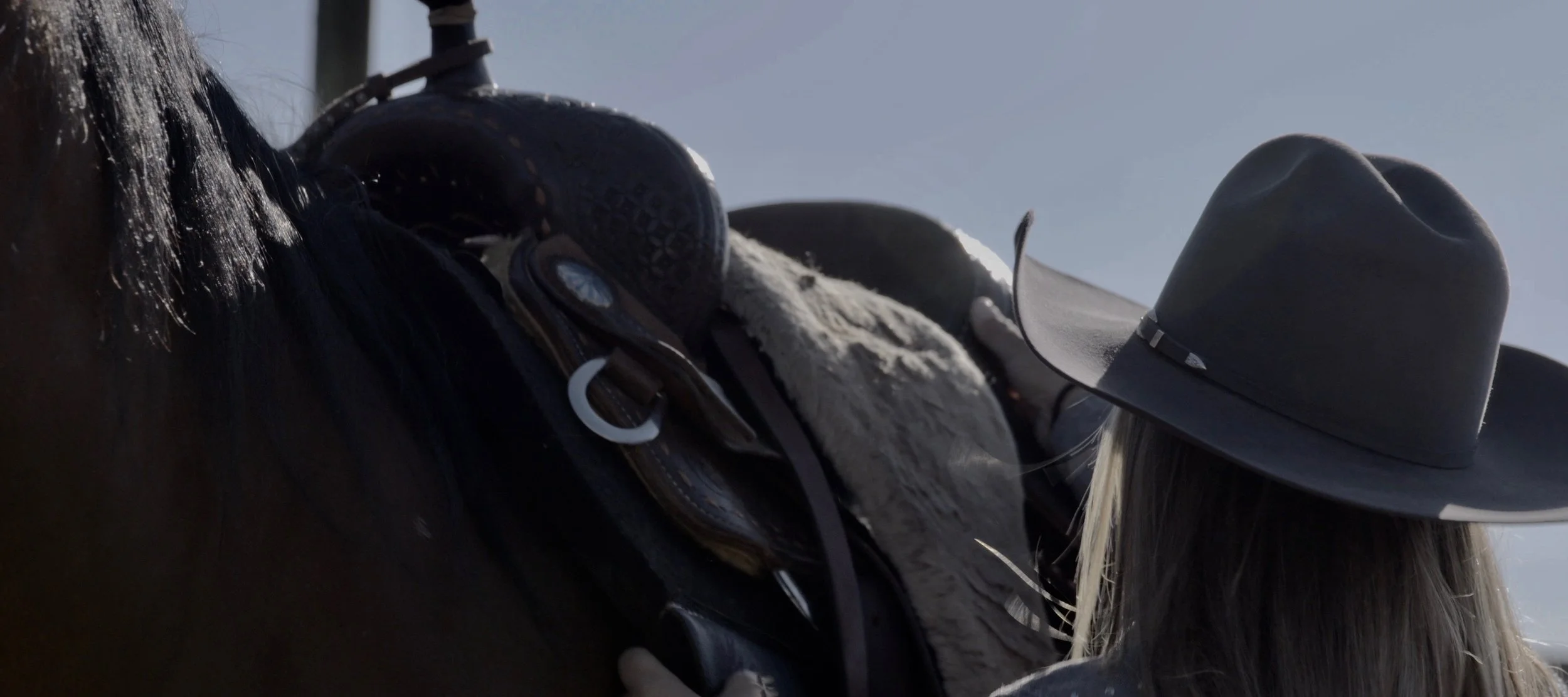 Screen Shot 2018-07-19 at 10.31.03 PM.jpg