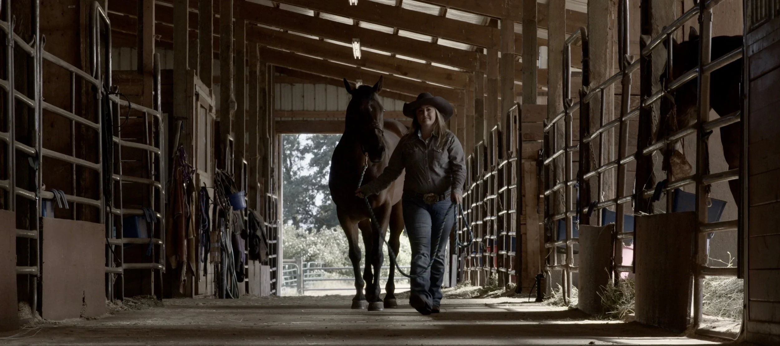 Screen Shot 2018-07-19 at 10.37.16 PM.jpg