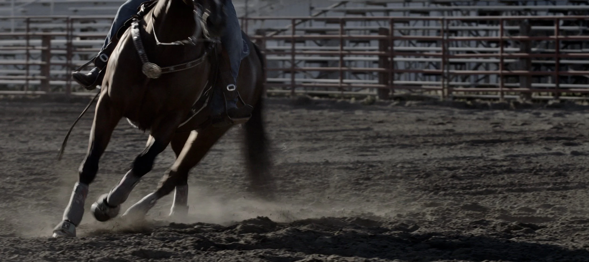 Screen Shot 2018-07-19 at 10.35.16 PM.jpg