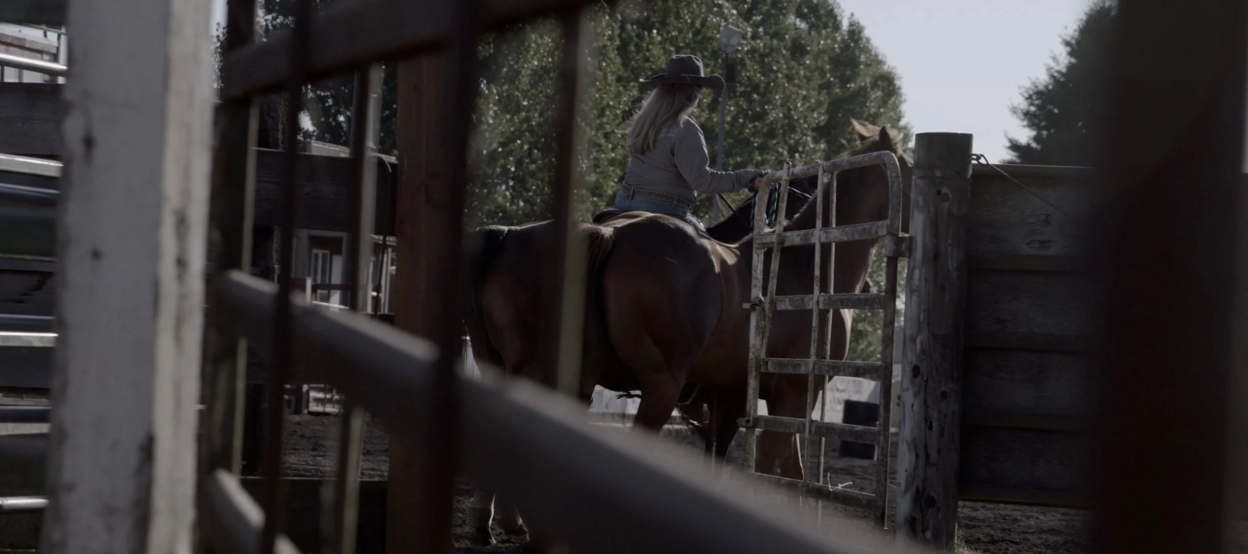 Screen Shot 2018-07-19 at 10.33.30 PM.jpg