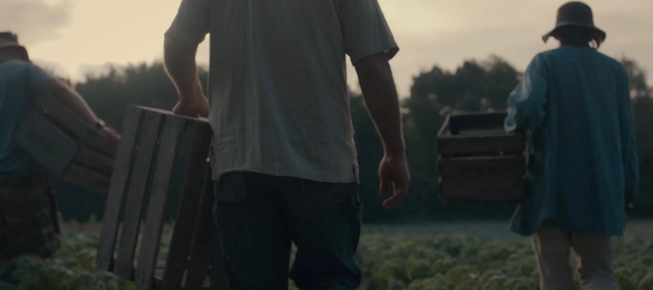 Screen Shot 2019-10-16 at 4.56.06 PM.jpg