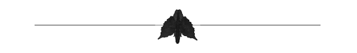 DividerTest.png