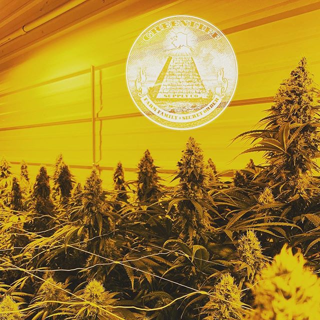 Success tends to follow those who are busy looking for it. ✌️ #greenlife #cannabiscultivation #cannibuscommunity #weedstagram420 #farm #family #secret #order
Greenlife Supply Co.
License 11927
1. Marijuana has intoxicating effects and may be habit forming.
2. Marijuana impairs concentration, coordination, and judgement. Do not operate a vehicle or machinery under its influence.
3. There are health risks associated with consumption of marijuana.
4. For the use of adults 21 and older. Keep out of reach of children.
5. Marijuana should not be used by women who are pregnant and or breast feeding.
