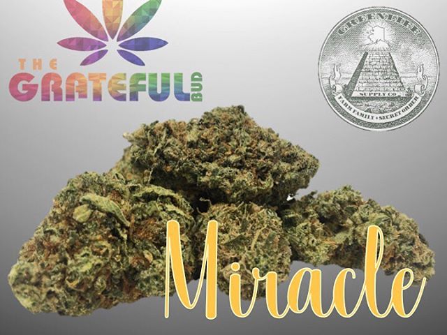 Grateful Bud’s Miracle 😇✨ sure to uplift the spirits and available here at Greenlife ✌🏼💨 #Greenlife #GratefulBud #AlaskaCannabis #CannabisCommunity #puffpuffpass
Greenlife Supply Co.
License 11927 (1) “Marijuana has intoxicating effects and may be habit forming and addictive.”;
(2) “Marijuana impairs concentration, coordination, and judgement. Do not operate a vehicle or machinery under its influence.”;
(3) “There are health risks associated with consumption of marijuana.”;
(4) “For use only by adults twenty-one and older. Keep out of the reach of children.”;
(5) “Marijuana should not be used by women who are pregnant or breast feeding.”