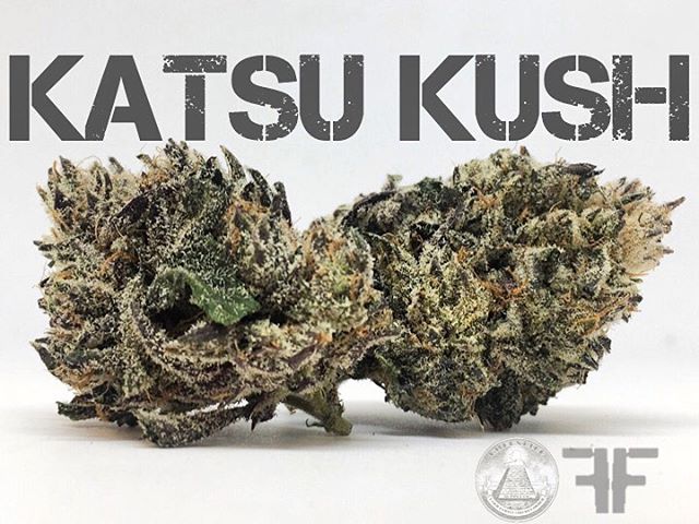 Some gorgeously dark and kiefy bud out of Frontier Farmers 💜🖤💚 #Greenlife #FrontierFarmers #AlaskaCannabis #CannabisCommunity #Kush
Greenlife Supply Co.
License 11927 (1) “Marijuana has intoxicating effects and may be habit forming and addictive.”;
(2) “Marijuana impairs concentration, coordination, and judgement. Do not operate a vehicle or machinery under its influence.”;
(3) “There are health risks associated with consumption of marijuana.”;
(4) “For use only by adults twenty-one and older. Keep out of the reach of children.”;
(5) “Marijuana should not be used by women who are pregnant or breast feeding.”