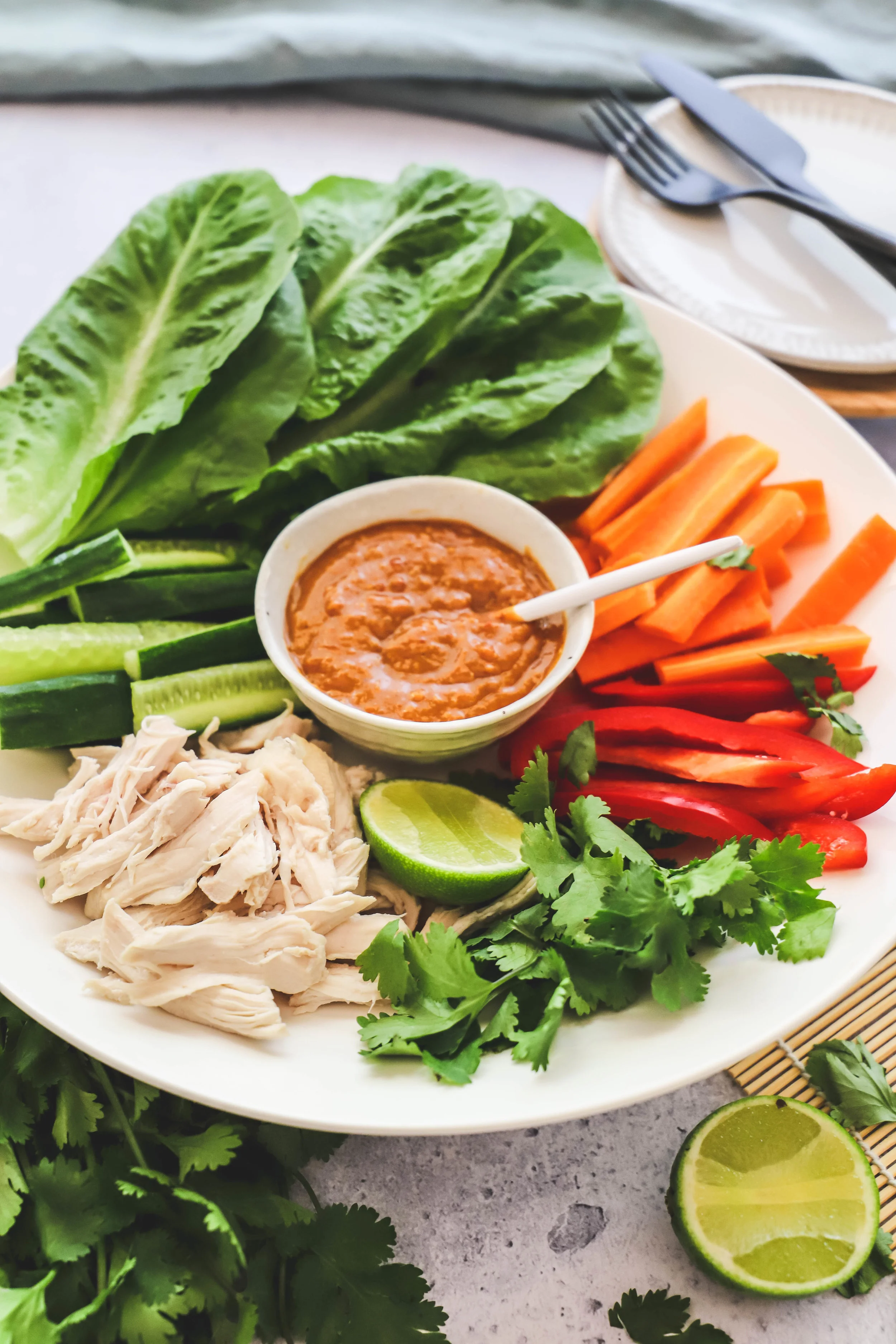 Satay Chicken Lettuce Wraps 