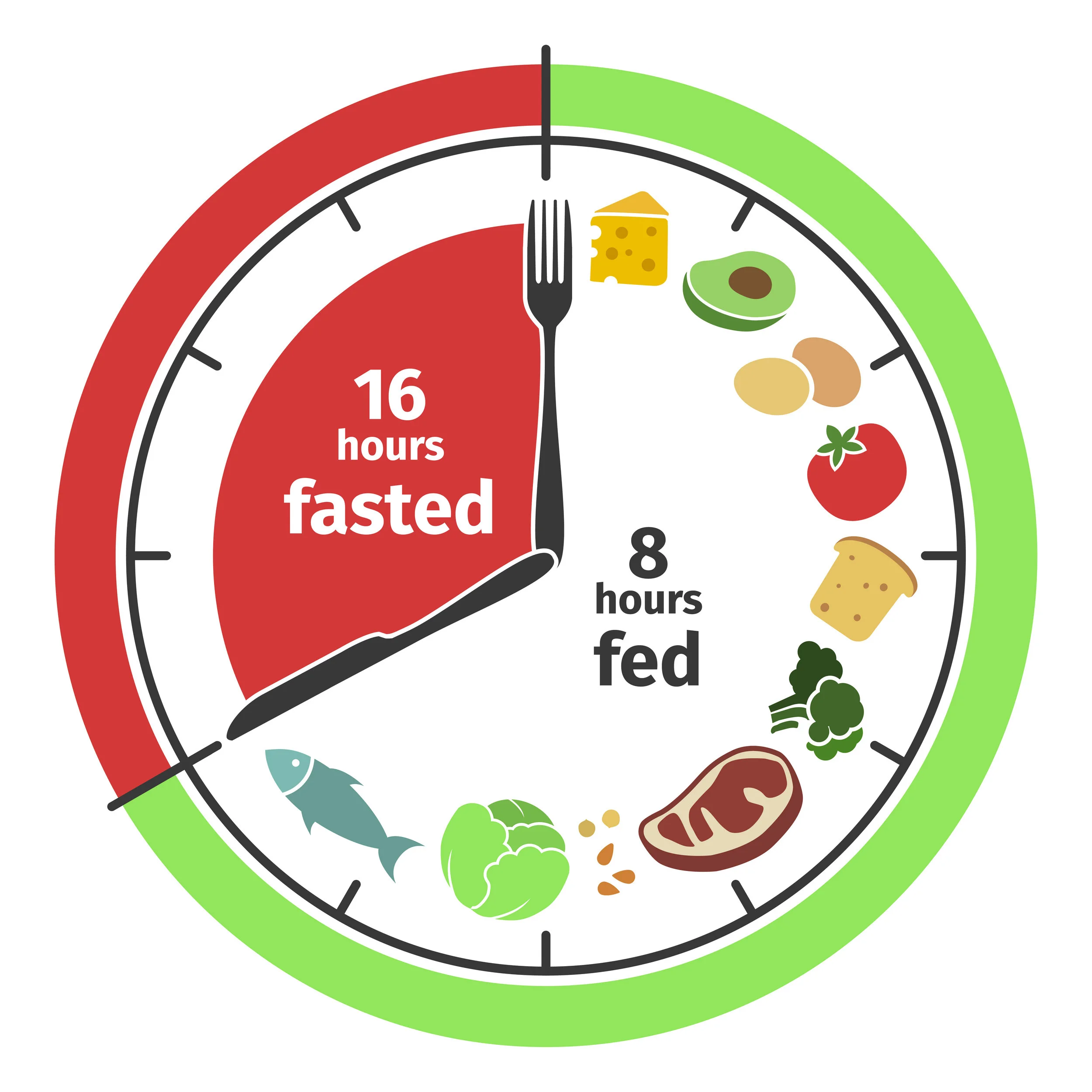 Intermittent Fasting - Will you actually lose weight? 