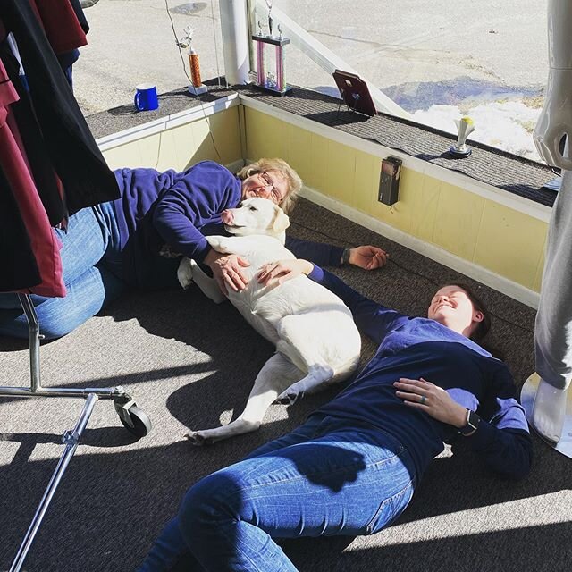 Sun bathing at the shop. Spring is almost here!! #sportsink #manistee #sunny