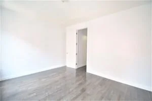 408803079.jpg