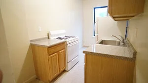 308 East 209th Street #63_1BR_$1510.70