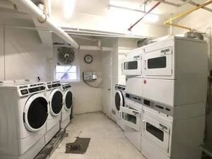 351395545.jpg