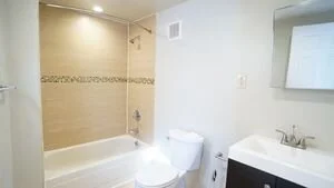 368287510.jpg