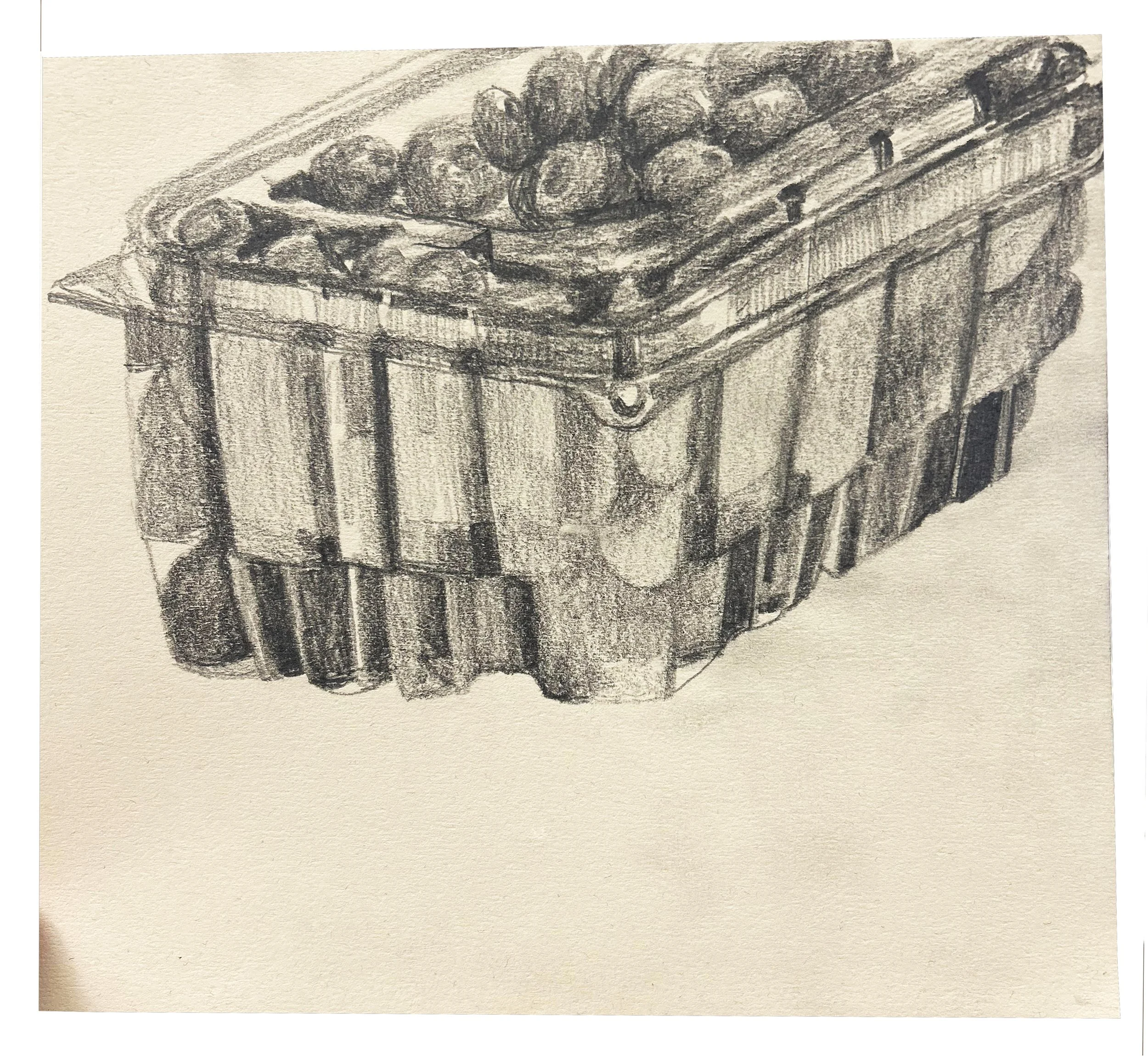 BlueberryStudy.jpg