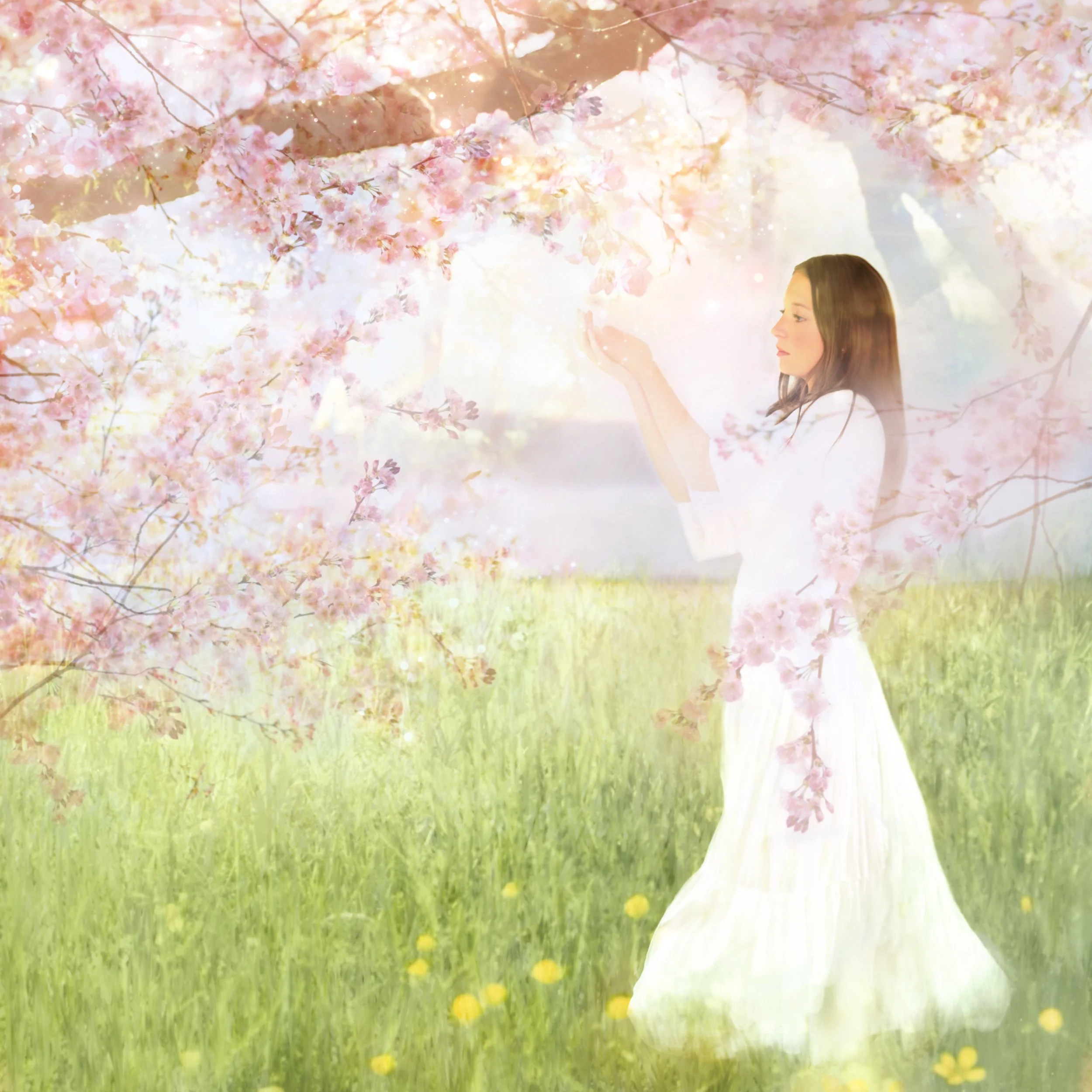 Untitled_Artwork 36.jpg