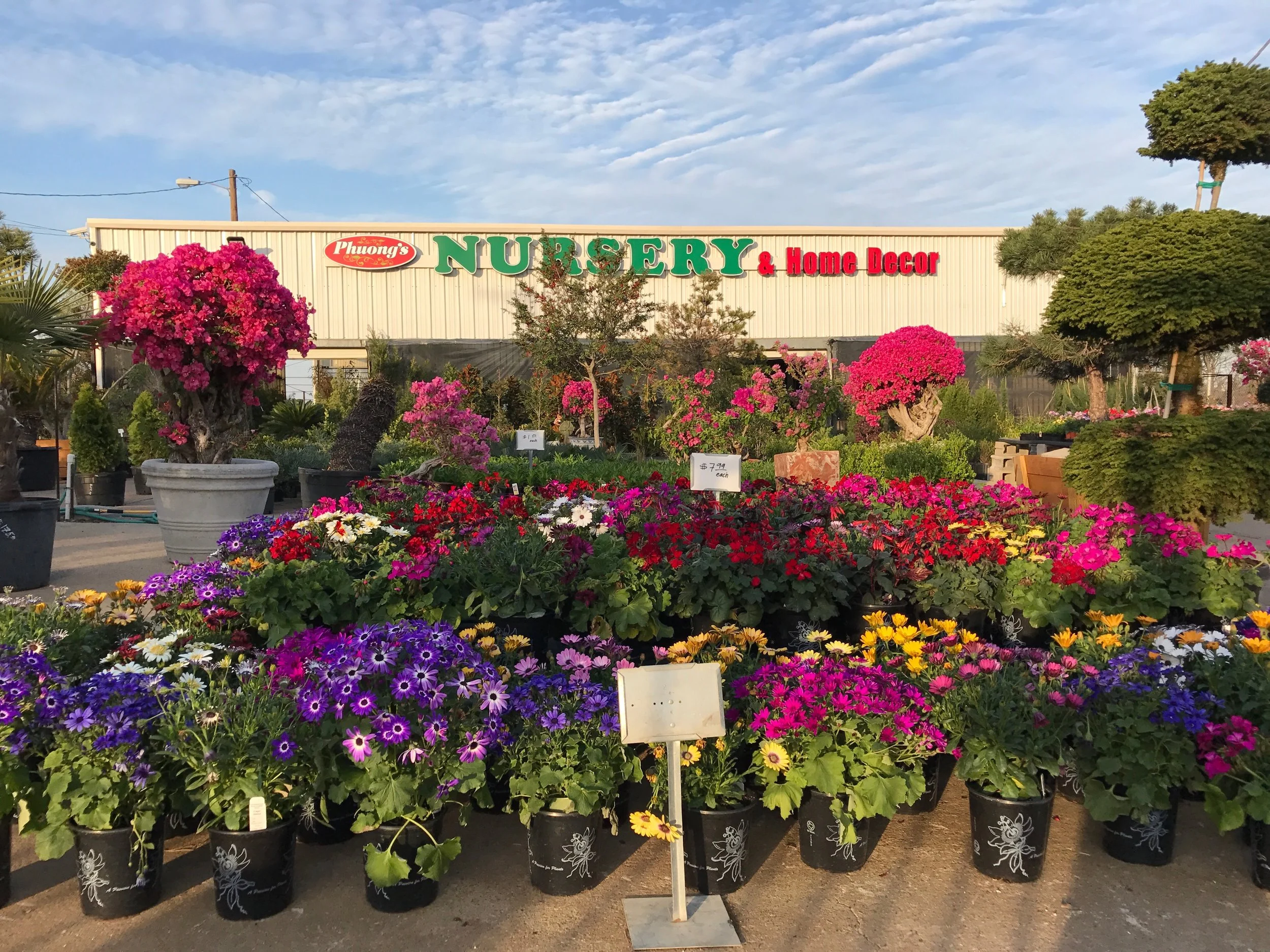 Phuong's Nursery & Home Decor