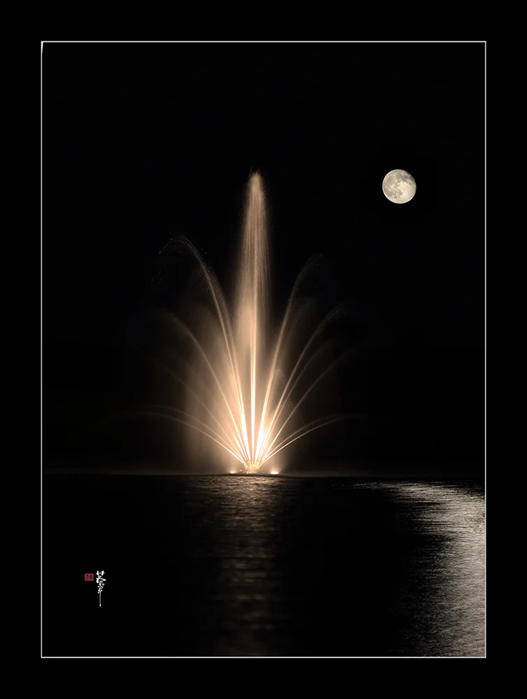 THE MOON web.jpg