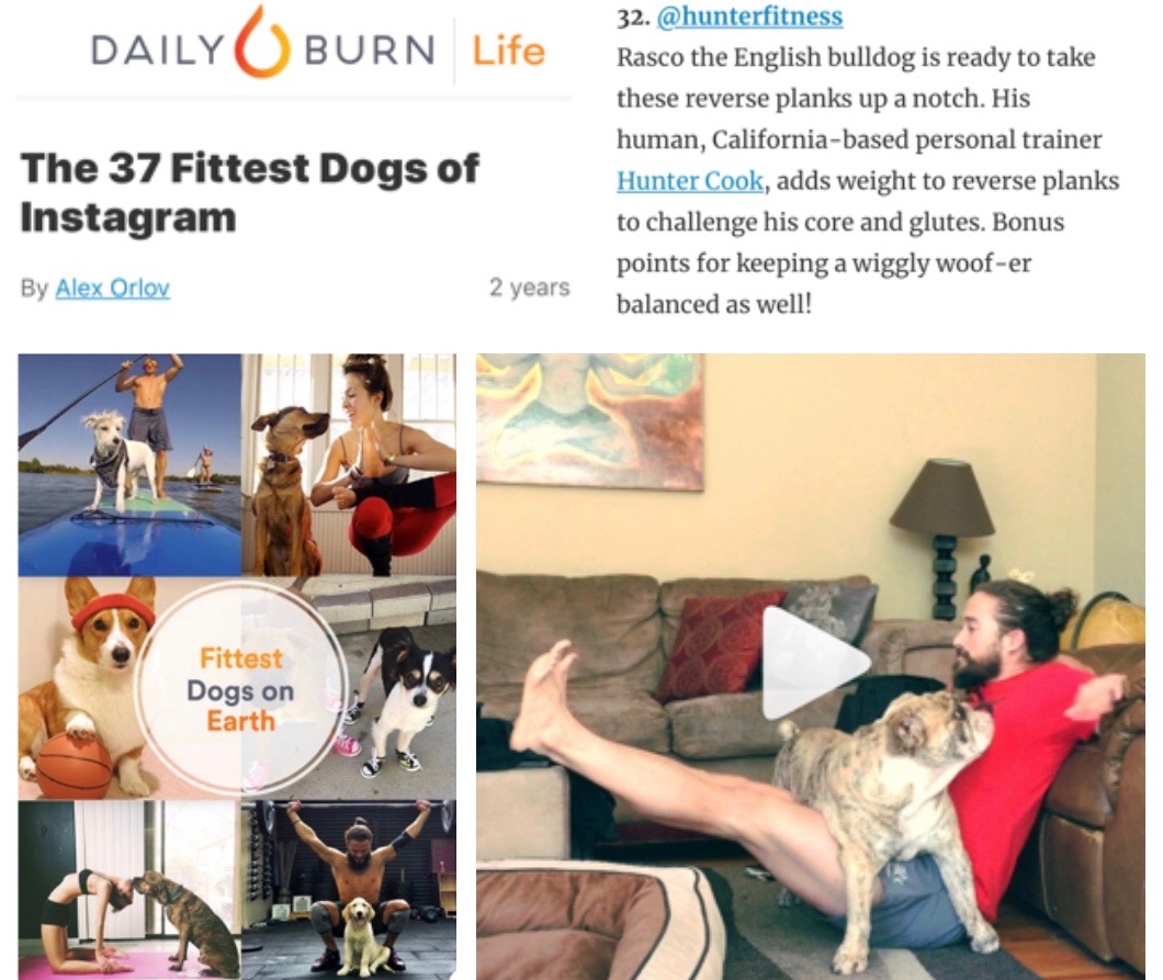 <p><strong>Daily Burn</strong>Blog Feature<a href='https://dailyburn.com/life/lifestyle/fittest-cute-dogs-instagram/amp/'>More →</a></p>