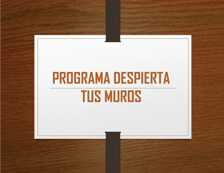 PROGRAMA DESPIERTA TUS MUROS (INFORME 2)