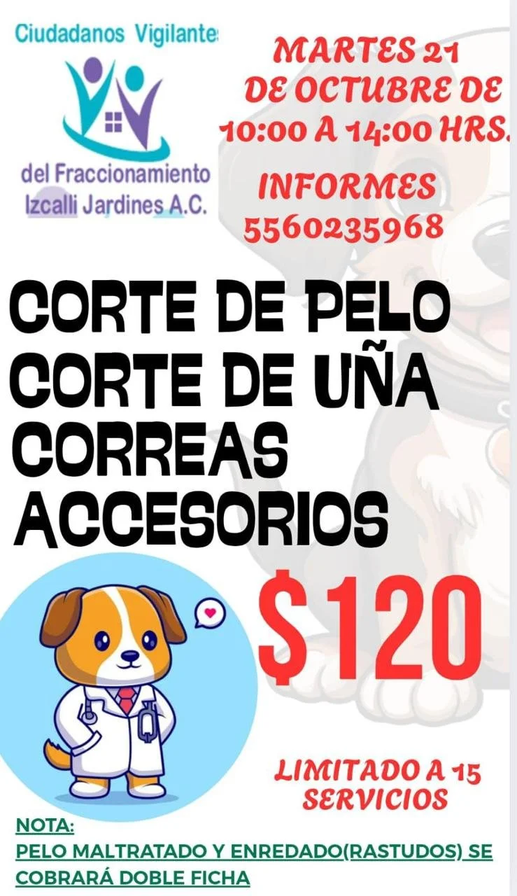 WhatsApp Image 2026-02-08 at 2.38.48 PM (1).jpeg