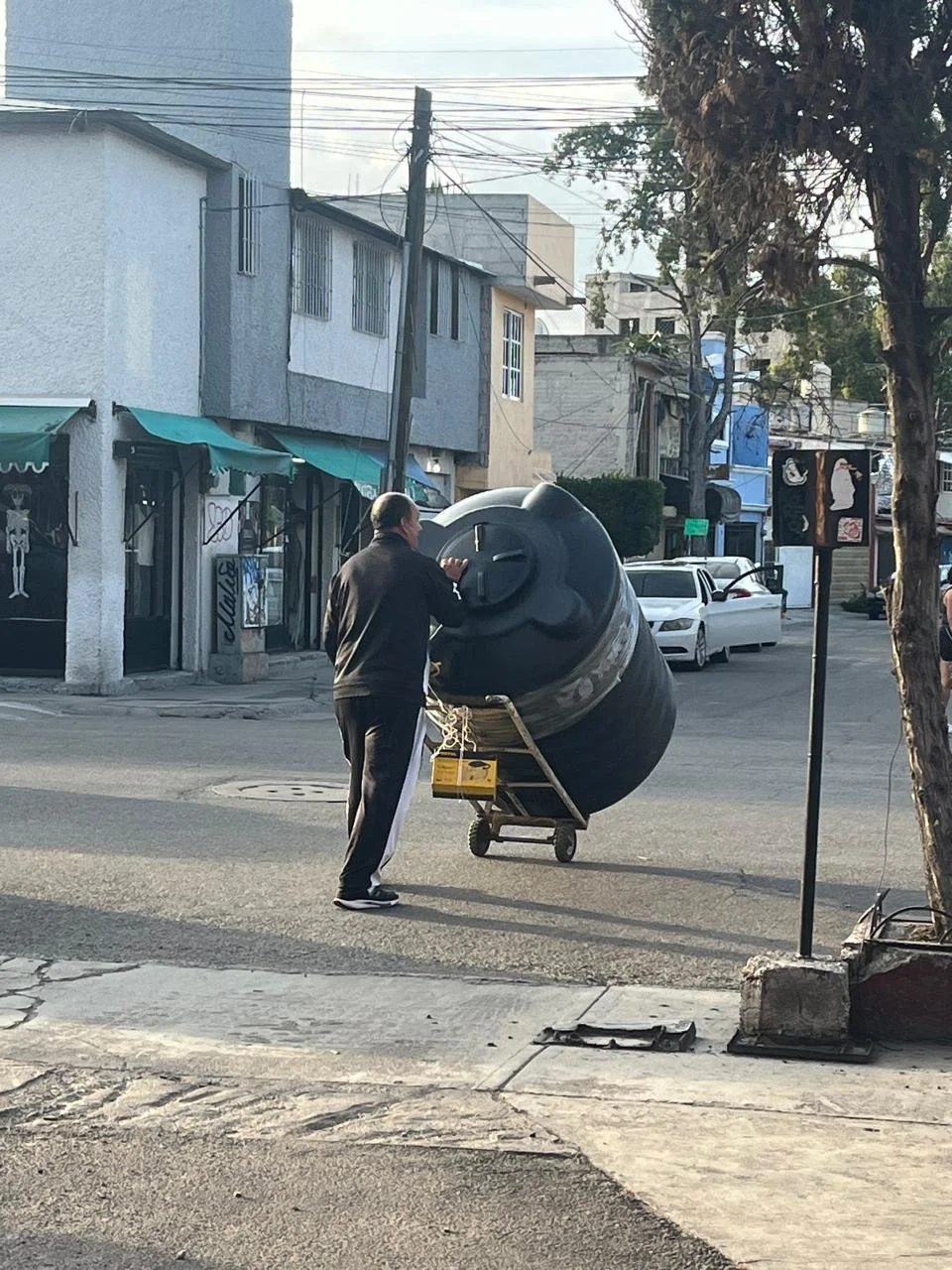 WhatsApp Image 2026-02-08 at 2.52.18 PM.jpeg