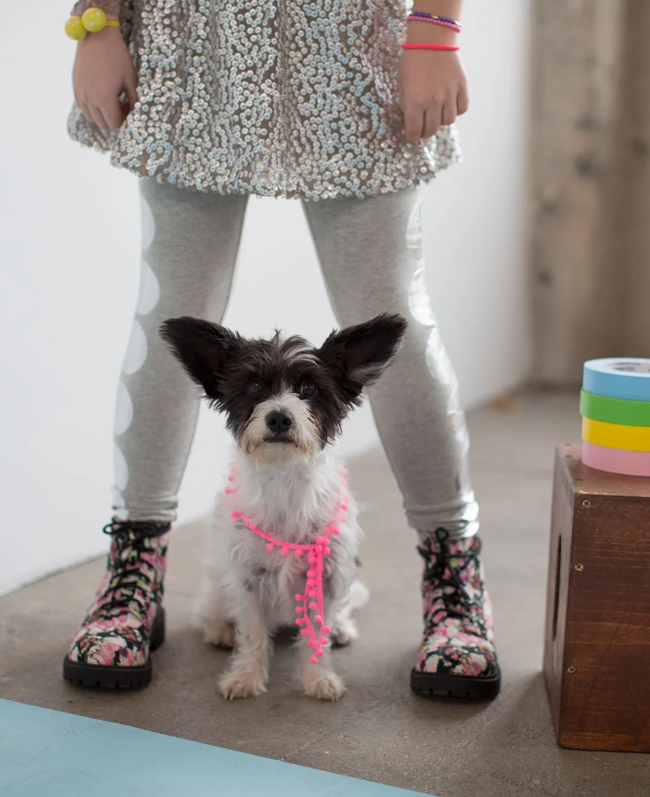 20150120dotgirls5879-1.jpg