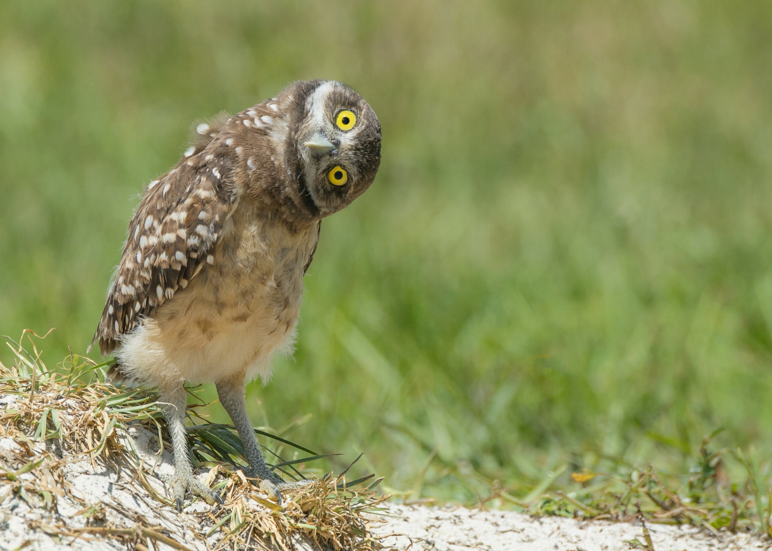 Photo by SandyMossPhotography/iStock / Getty Images